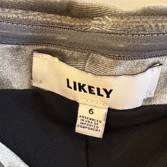 Likely Silver Strapless Velvet Dress - Picture 2 of 7